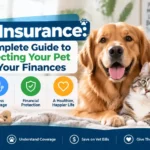 Pet Insurance: A Complete Guide to Protecting Your Pet and Your Finances